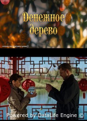 Денежное дерево