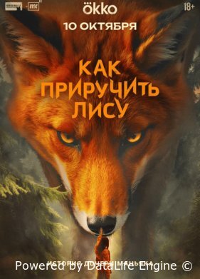 Как приручить лису