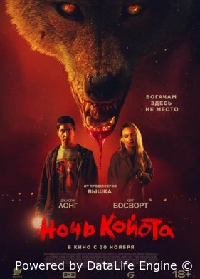 Ночь койота