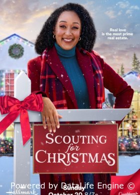 В поисках Рождества