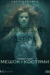  Мешок с костями 