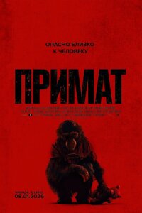  Примат 